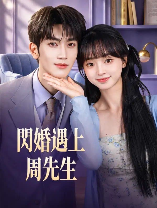 A Flash Marriage with Mr. Zhou